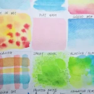 Examples of watercolour techniques such as wet on wet, wet on dry, blending, wash, mixing, salt