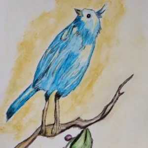 Beyond the Basics of Drawing (Age 8+)