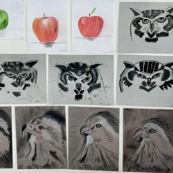 3-D Drawing for Artists in Training <br/> 9 years & older - Image 3