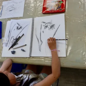 3-D Drawing for Artists in Training 9 years & older