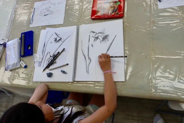 3-D Drawing for Artists in Training 9 years & older
