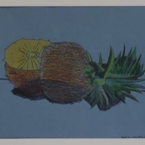 Student drawing of a pineapple cut in half created in the Drawing Fundamentals 1 class for ages 7 and up at Aliki’s Art House in Calgary