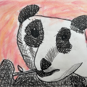 Panda bear chewing a bamboo branch. Student used hatching and cross hatching to create tonal values to add volume to panda's face