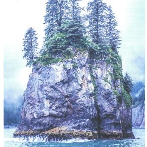 acrylic painting of a rock face with pine trees surrounded by water